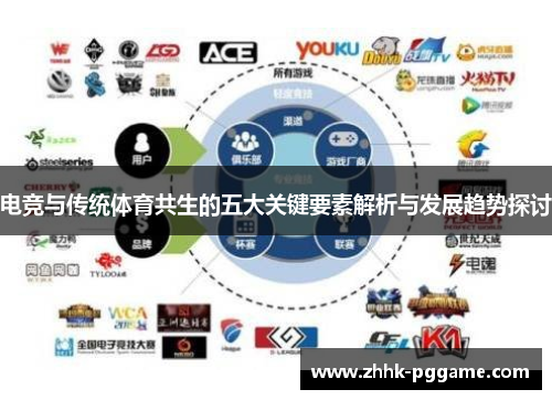 电竞与传统体育共生的五大关键要素解析与发展趋势探讨