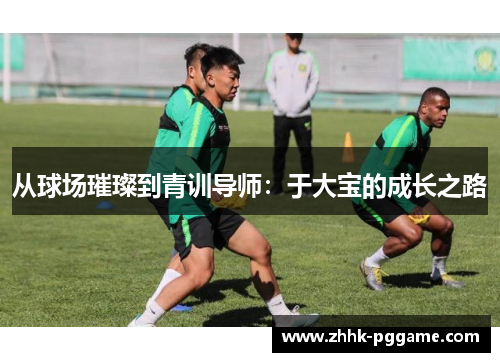 从球场璀璨到青训导师：于大宝的成长之路