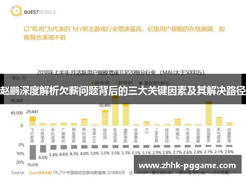 赵鹏深度解析欠薪问题背后的三大关键因素及其解决路径