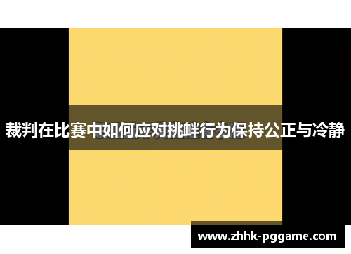 裁判在比赛中如何应对挑衅行为保持公正与冷静