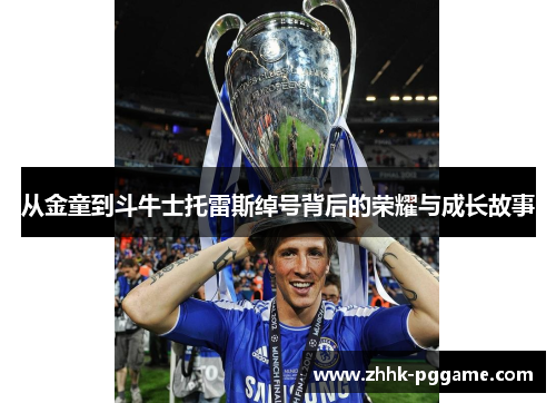 从金童到斗牛士托雷斯绰号背后的荣耀与成长故事