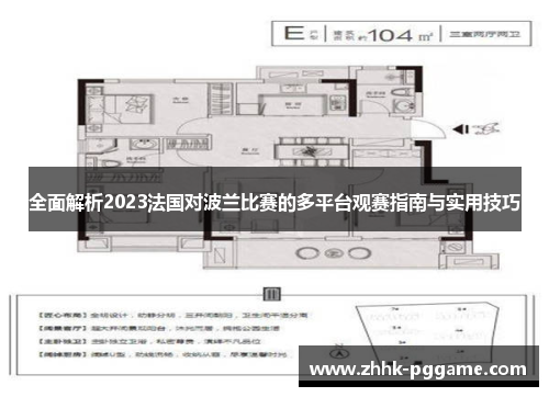 全面解析2023法国对波兰比赛的多平台观赛指南与实用技巧
