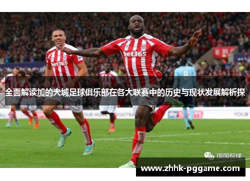 全面解读加的夫城足球俱乐部在各大联赛中的历史与现状发展解析探