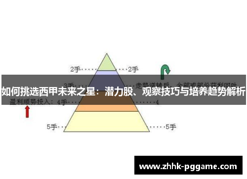 如何挑选西甲未来之星：潜力股、观察技巧与培养趋势解析